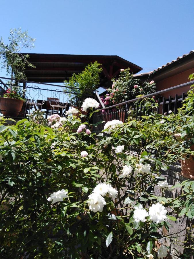La Fenice Montefiascone Exteriér fotografie