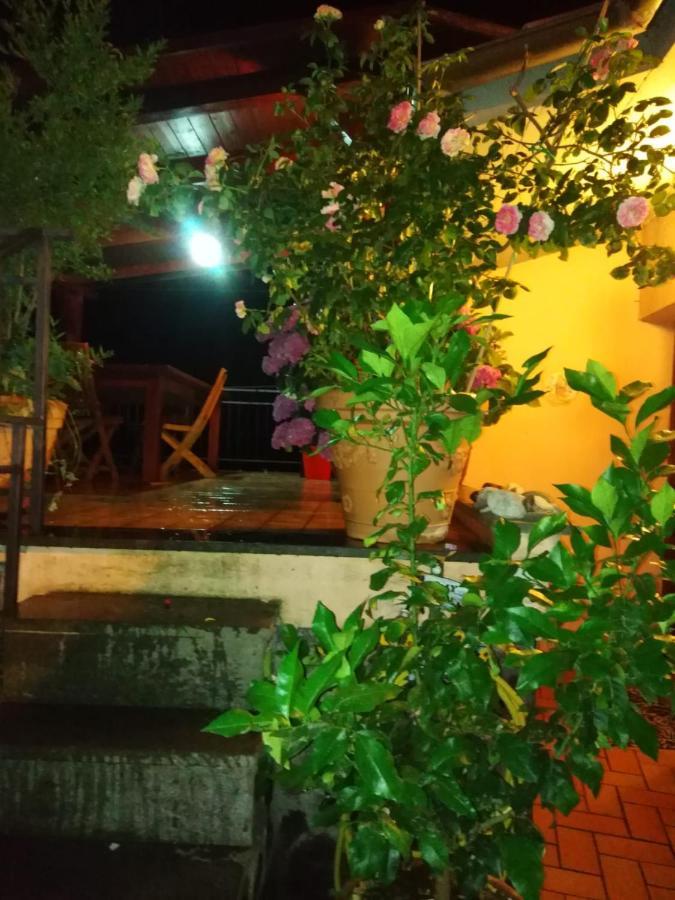 La Fenice Montefiascone Exteriér fotografie