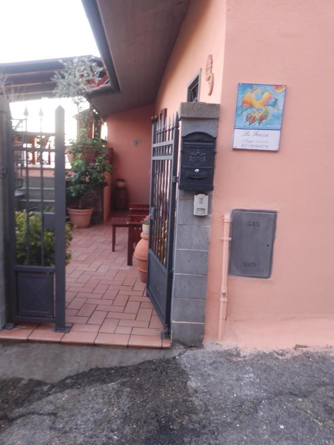 La Fenice Montefiascone Exteriér fotografie
