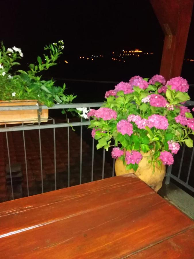 La Fenice Montefiascone Exteriér fotografie