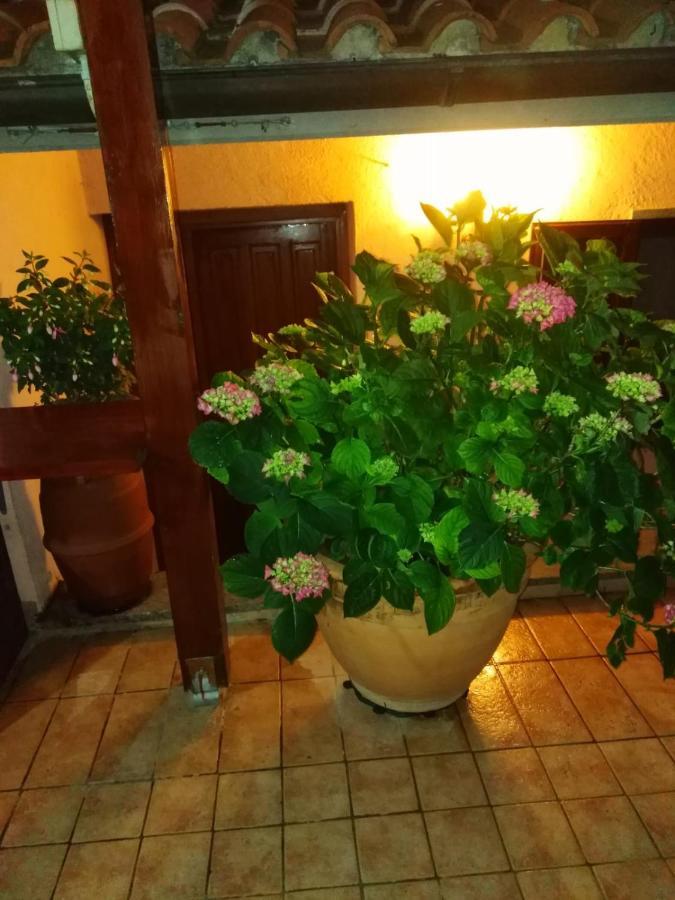La Fenice Montefiascone Exteriér fotografie