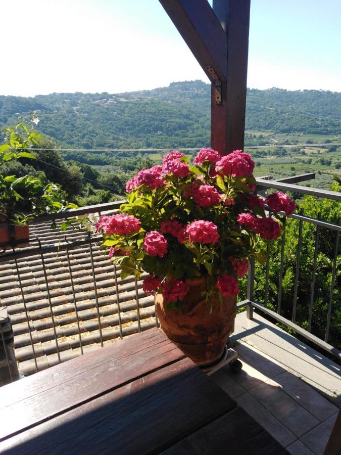La Fenice Montefiascone Exteriér fotografie