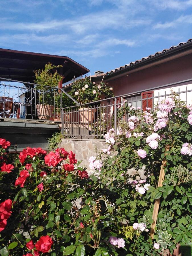 La Fenice Montefiascone Exteriér fotografie