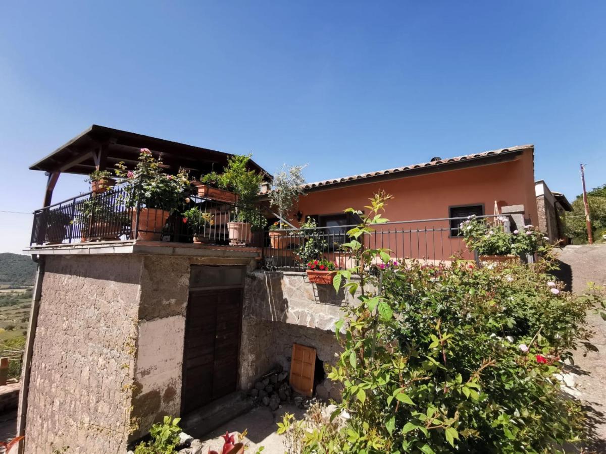 La Fenice Montefiascone Exteriér fotografie