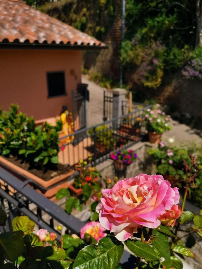 La Fenice Montefiascone Exteriér fotografie