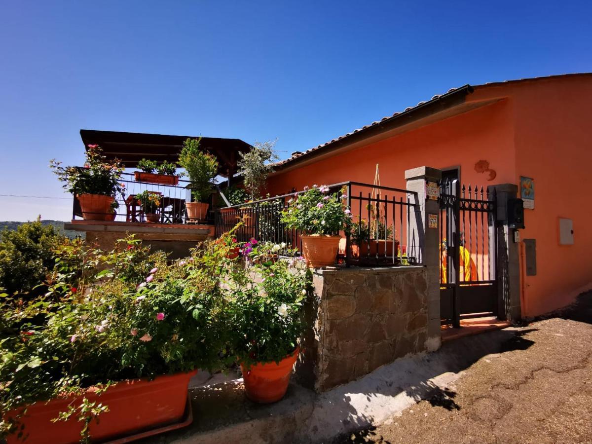 La Fenice Montefiascone Exteriér fotografie