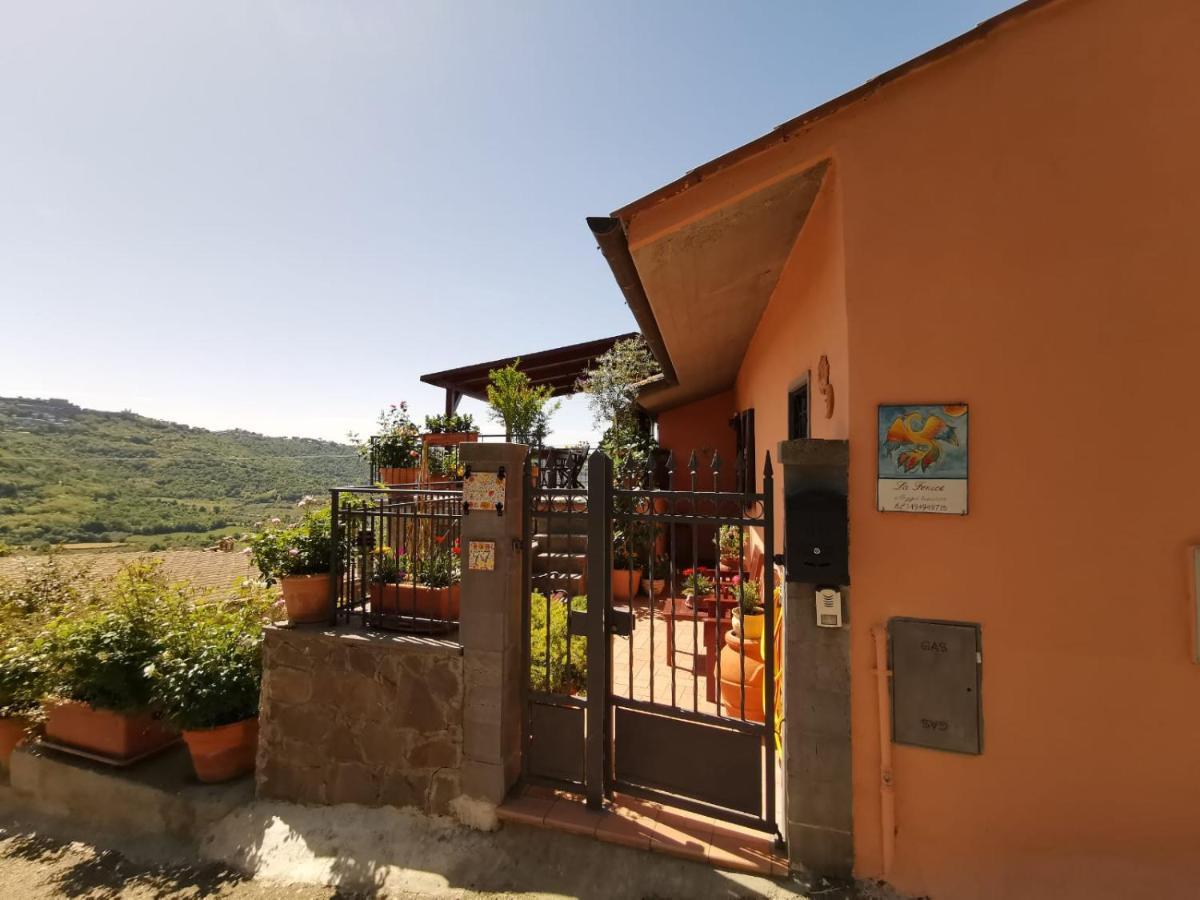 La Fenice Montefiascone Exteriér fotografie