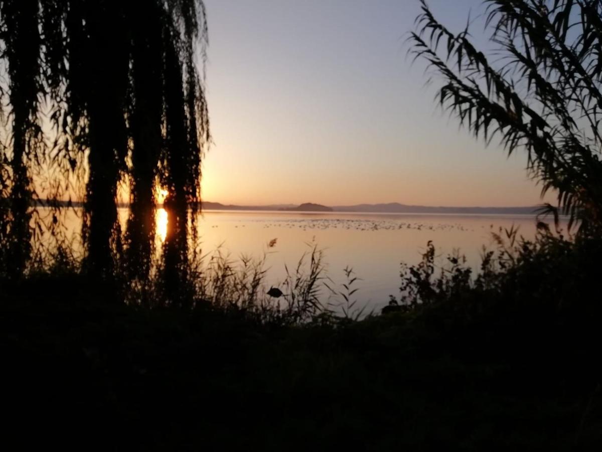 La Fenice Montefiascone Exteriér fotografie