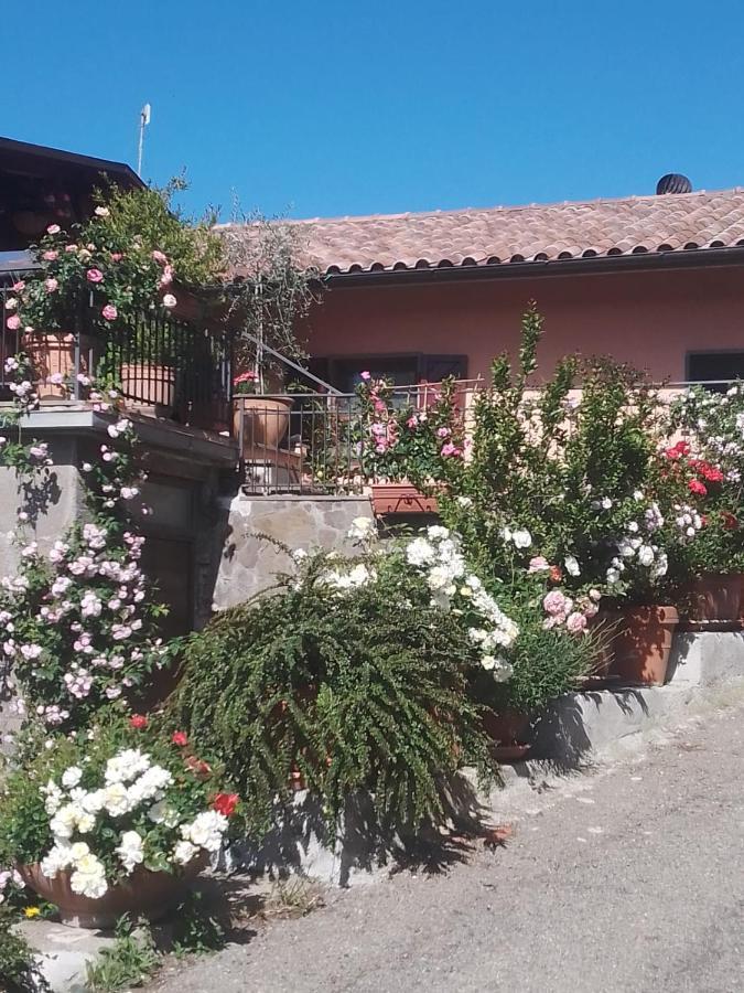 La Fenice Montefiascone Exteriér fotografie