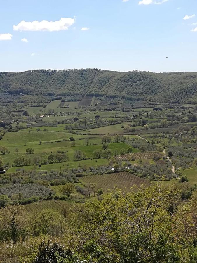 La Fenice Montefiascone Exteriér fotografie
